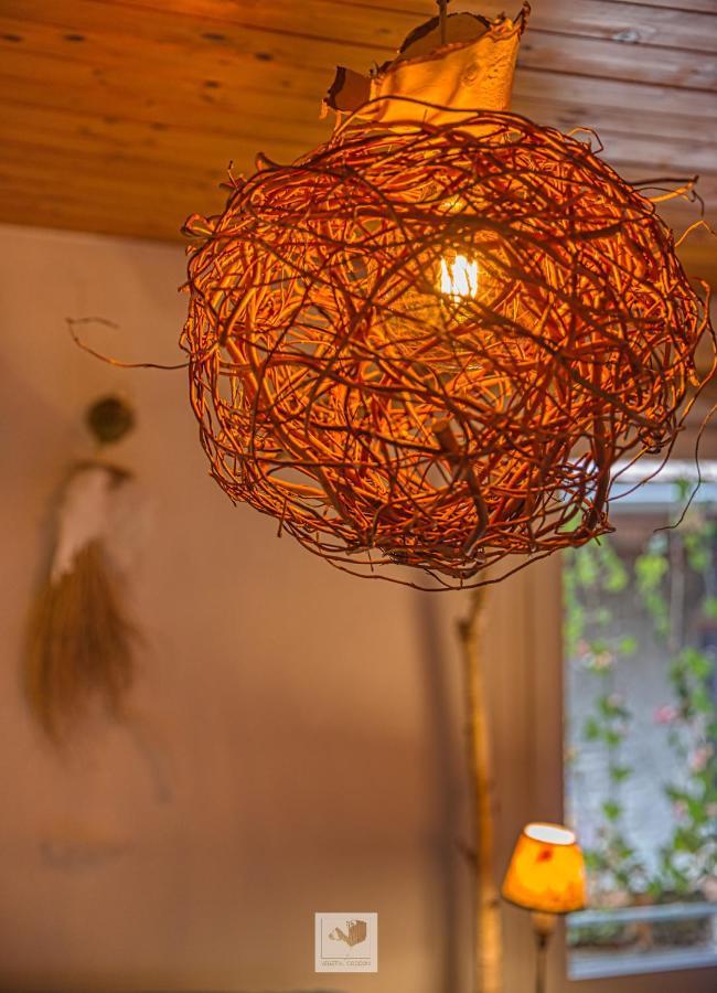 Vegetal Cocoon Appartement Annecy Buitenkant foto